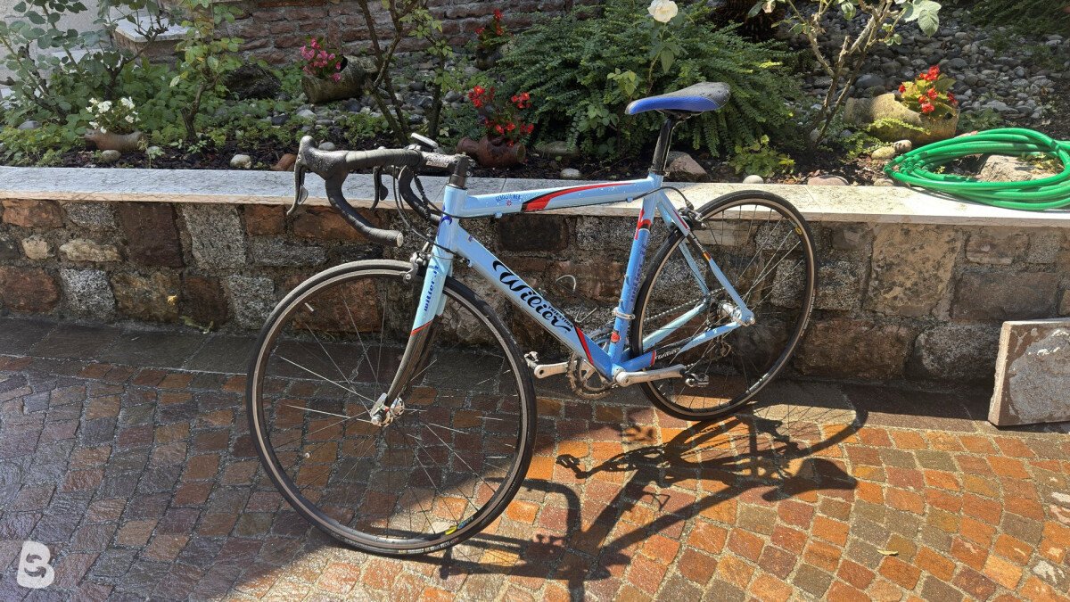 Wilier Triestina Gerolsteiner 2004