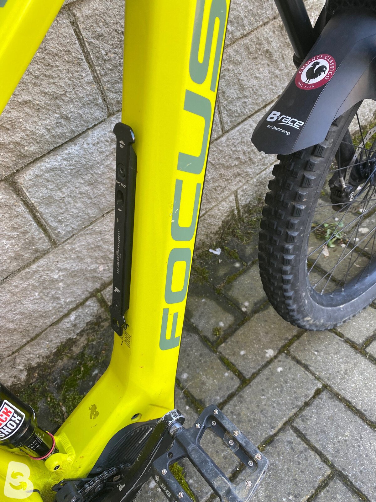 Focus JAM 2 2019