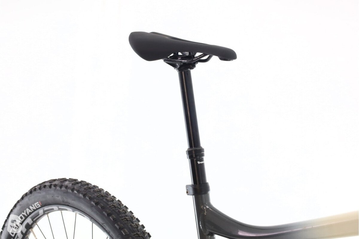 Giant Reign E+ Pro 2 GX 2020