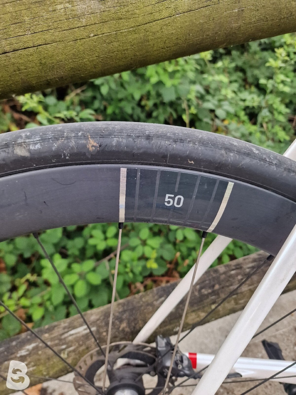 Wilier Verticale 2025