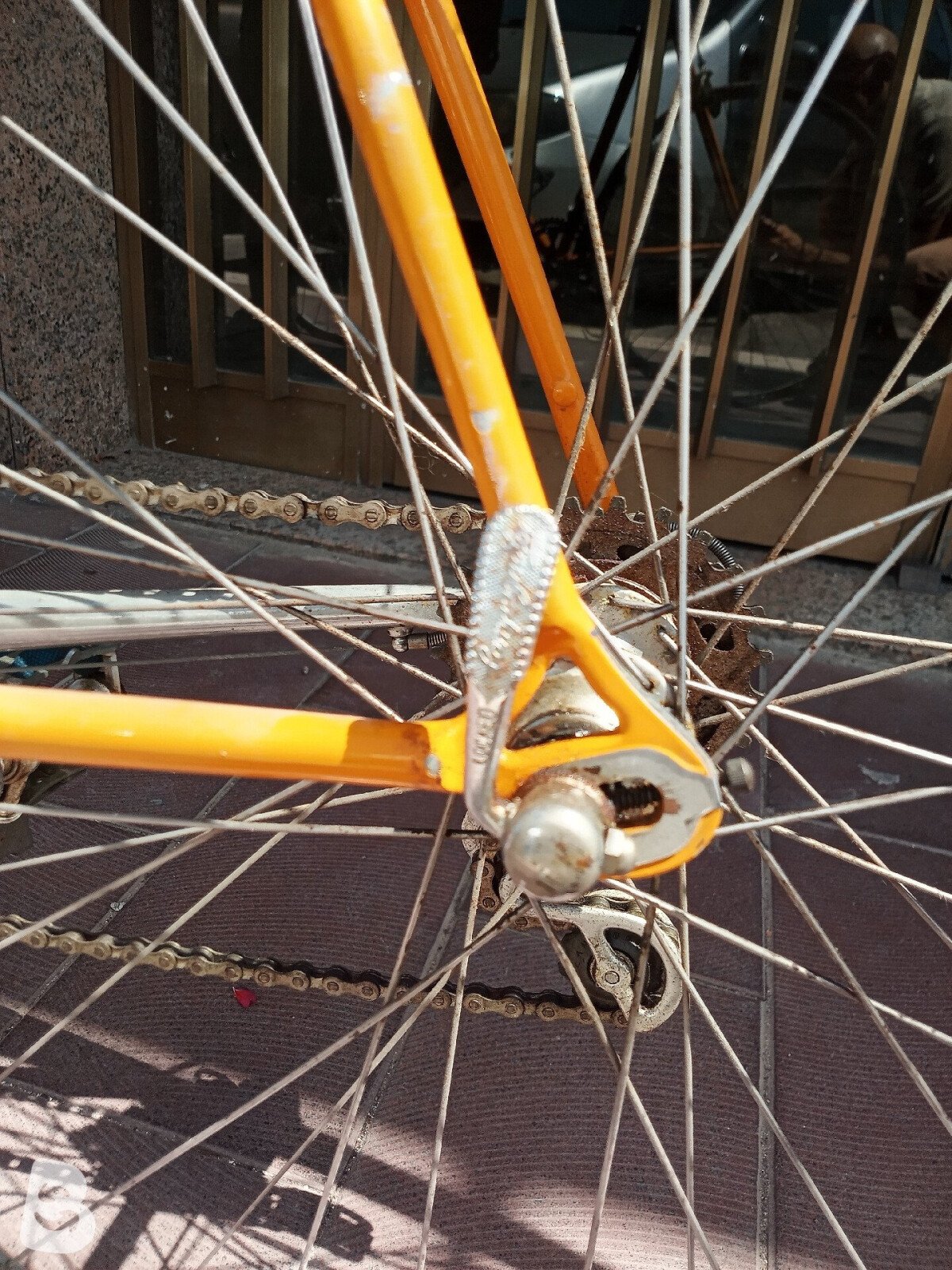 Benotto Specialissima