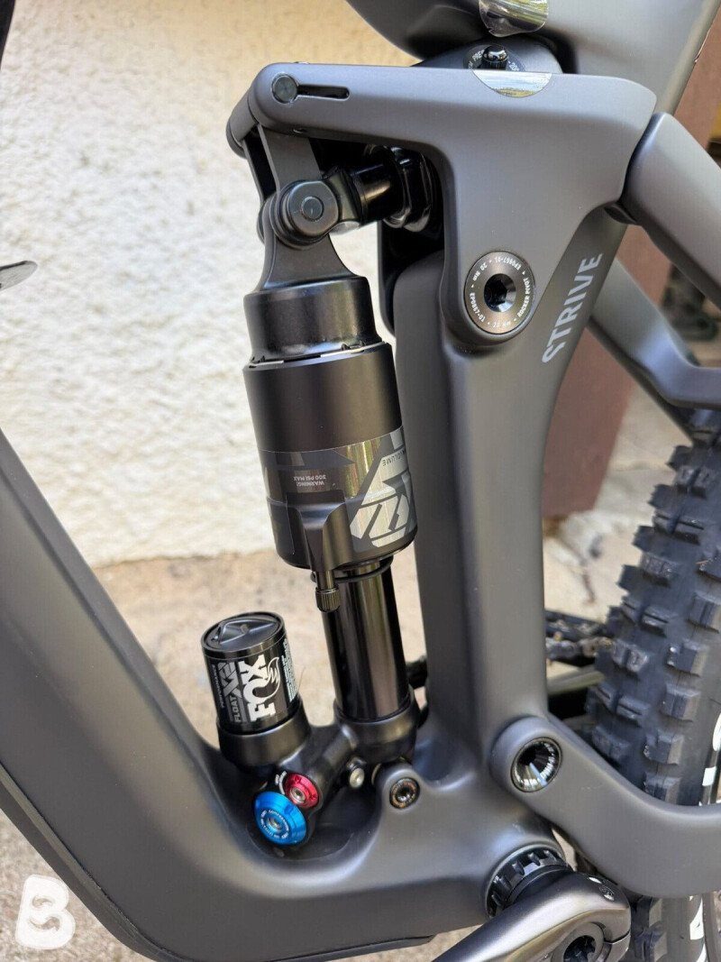 Canyon Strive cfr Underdog 2025