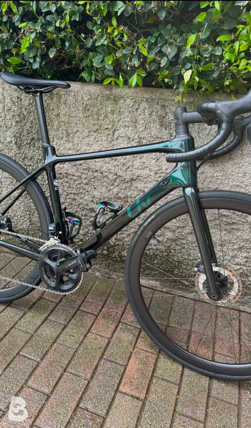 Liv Langma, Advanced Disc 2 2022