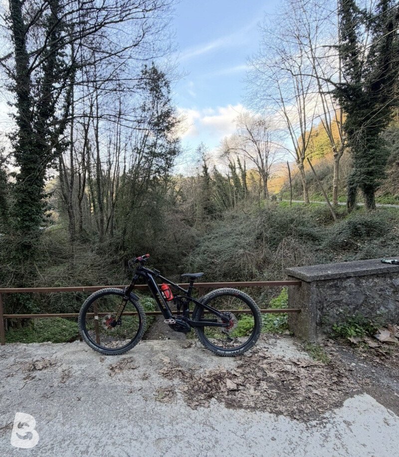 Trek Rail+ 8 Gen 5 2025