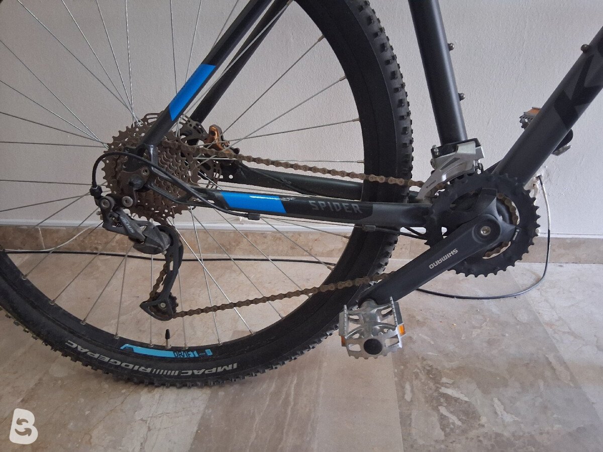 Kellys Spider 70 2021