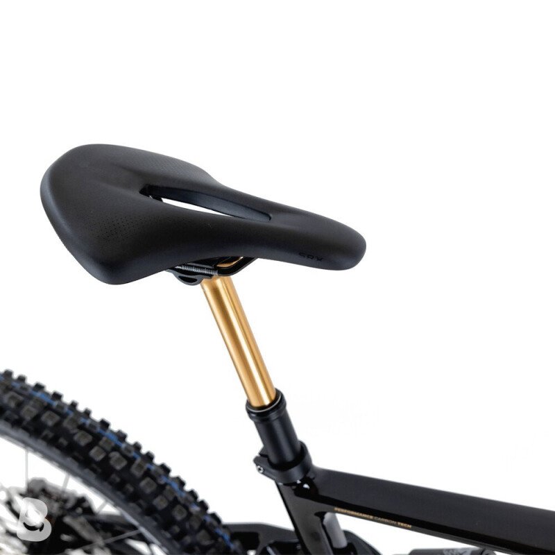 Kneissl Design World Champion Testrad 2024
