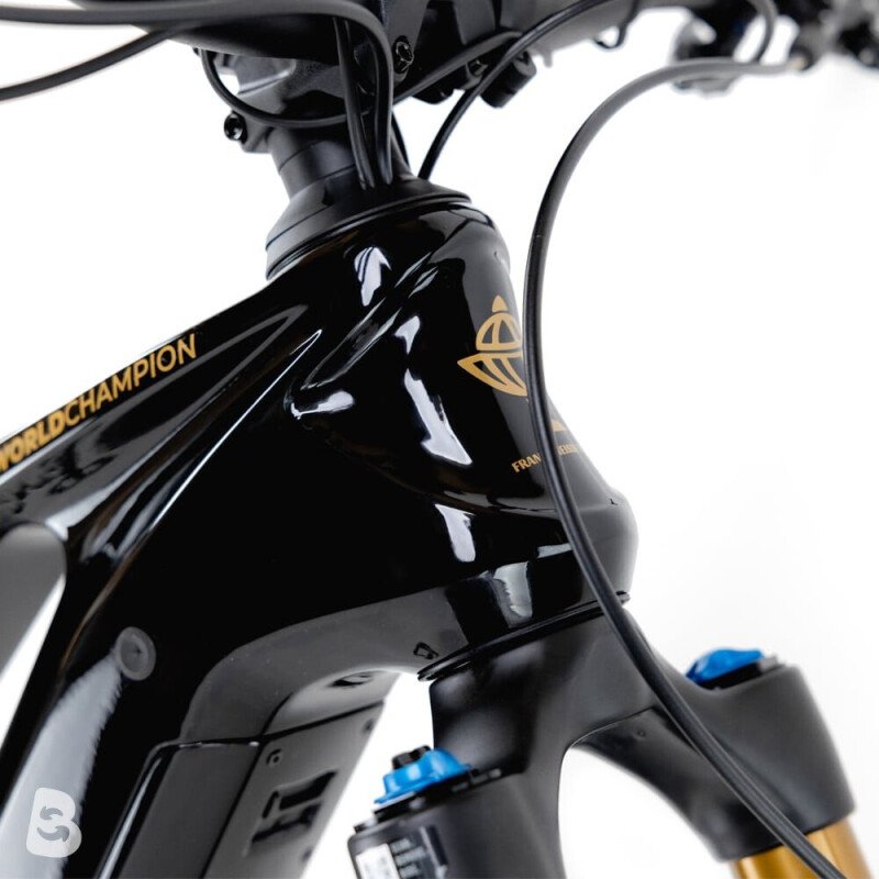 Kneissl Design World Champion Testrad 2024