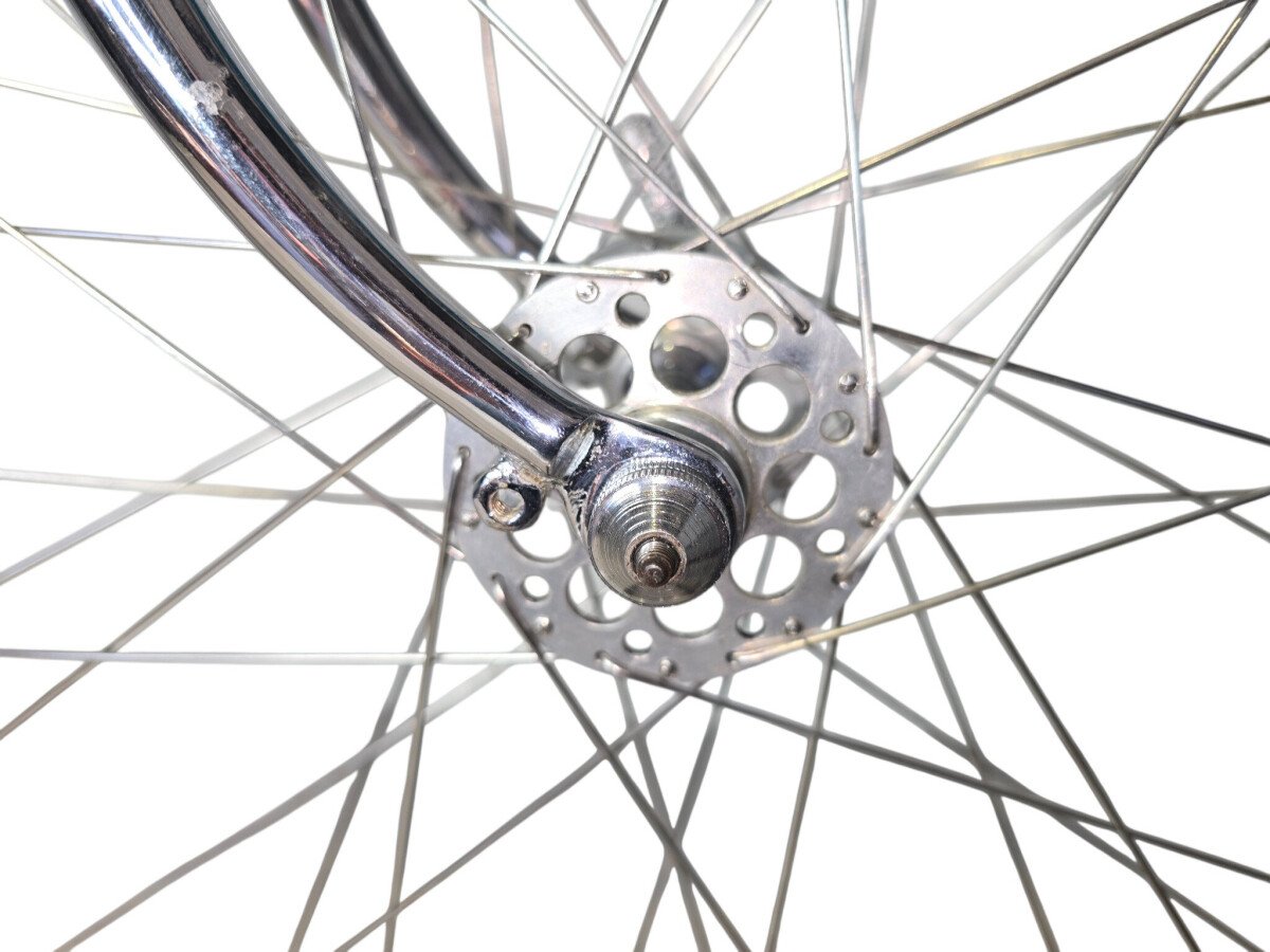 Atala Campione del mondo 1973