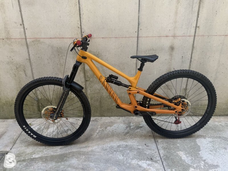 Canyon Torque 29 CF 9 2023