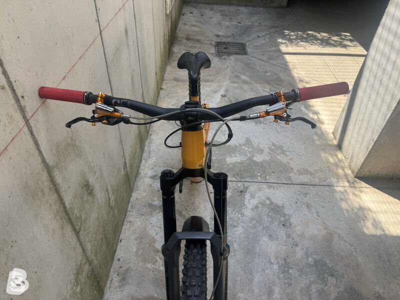 Canyon Torque 29 CF 9 2023