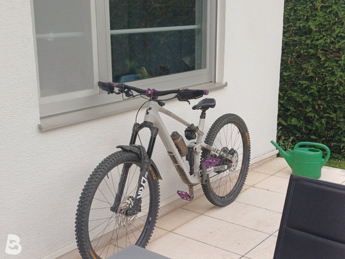 Cube STEREO ONE55 C:62, RACE 29 2023