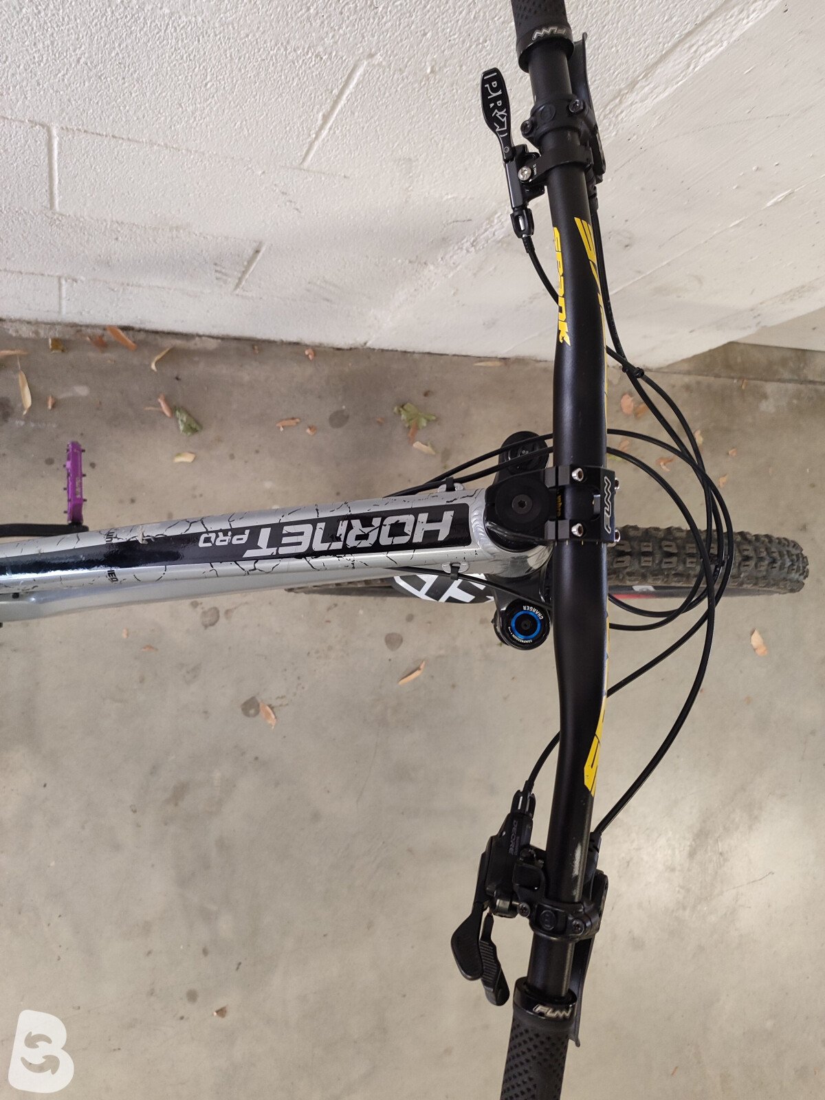 Dartmoor Hornet Pro 2024