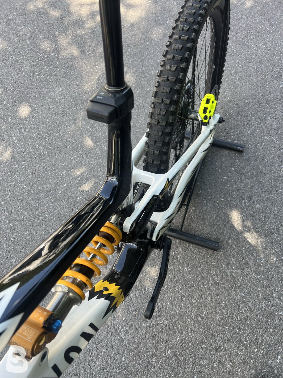 Canyon Torque CF Fabio Wibmer 2024
