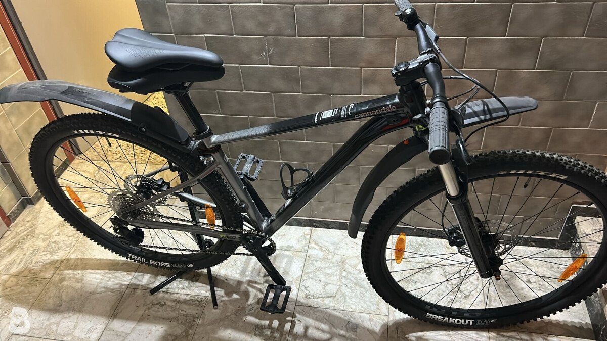 Cannondale Trail SE 4 2022