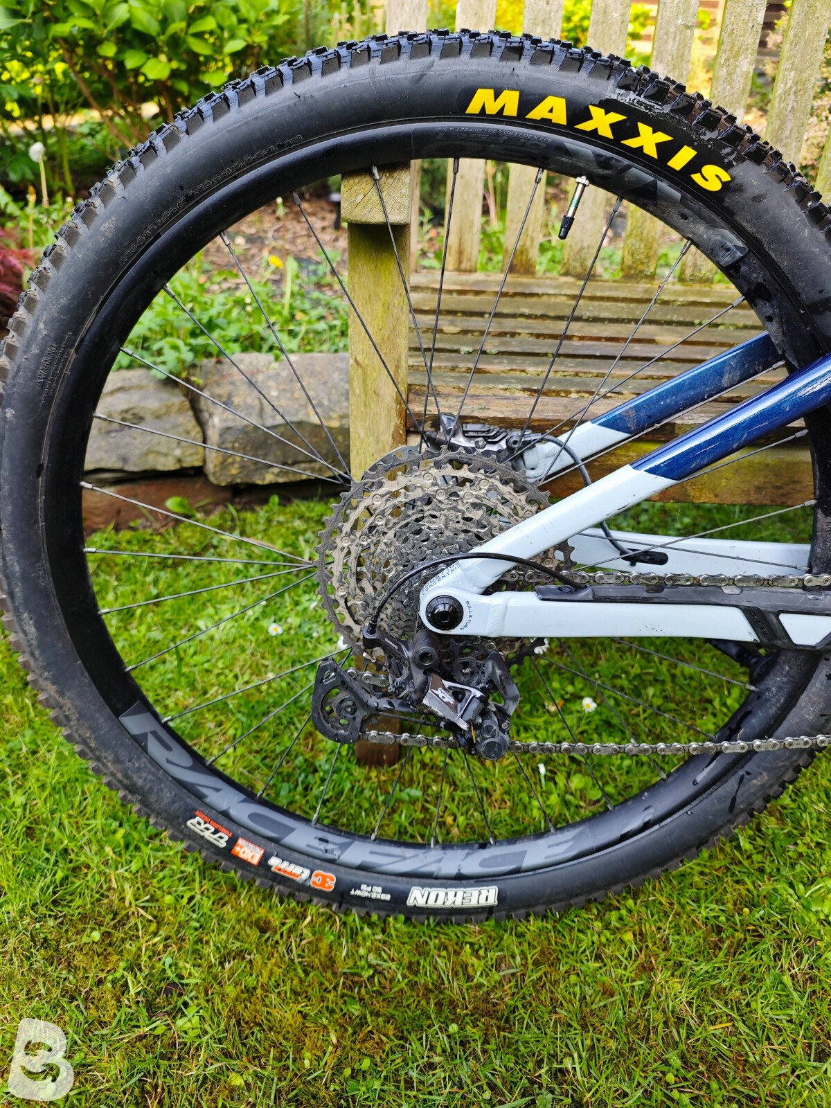 Orbea RISE H15 2023