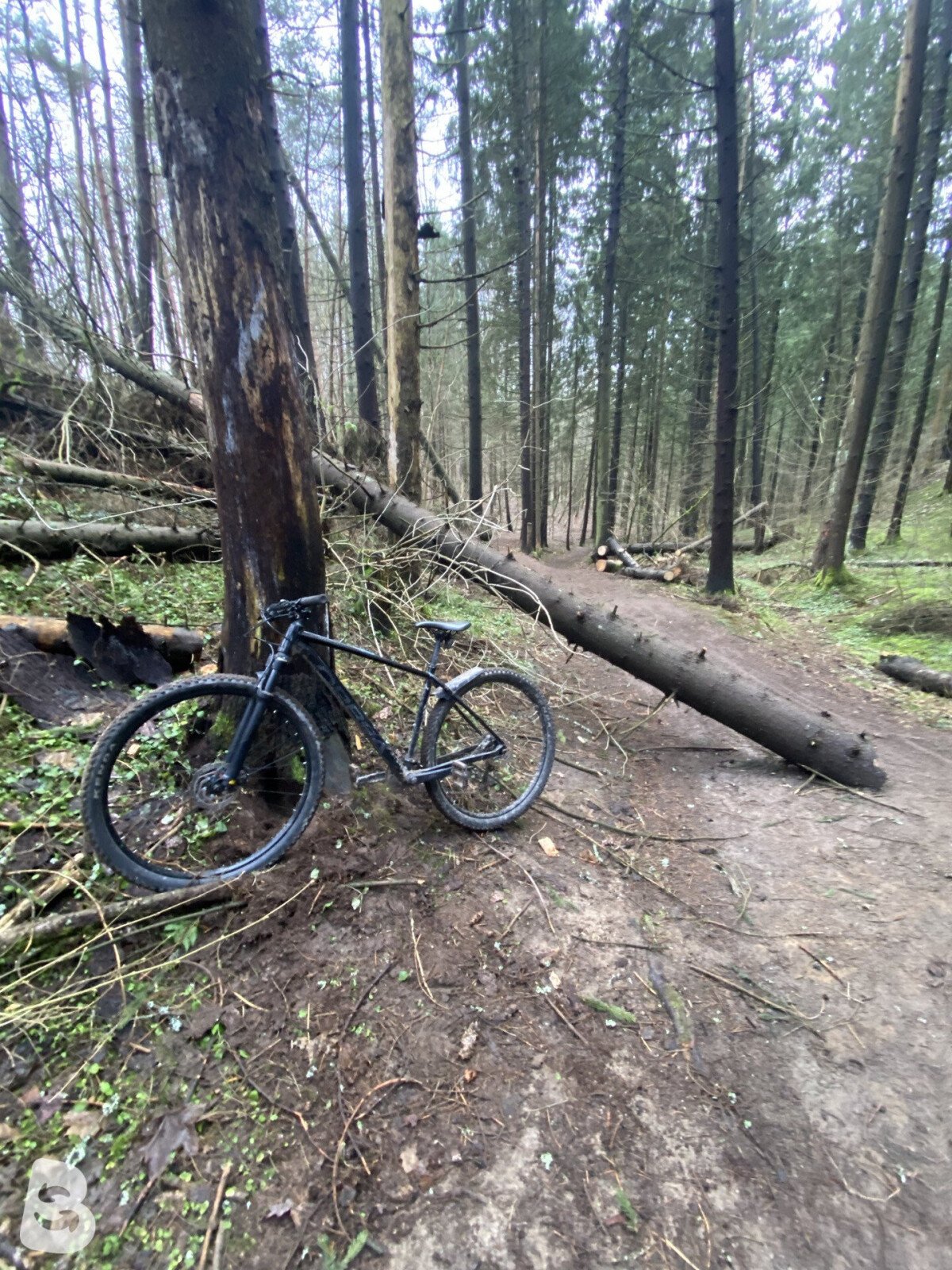 Orbea Onna 2024