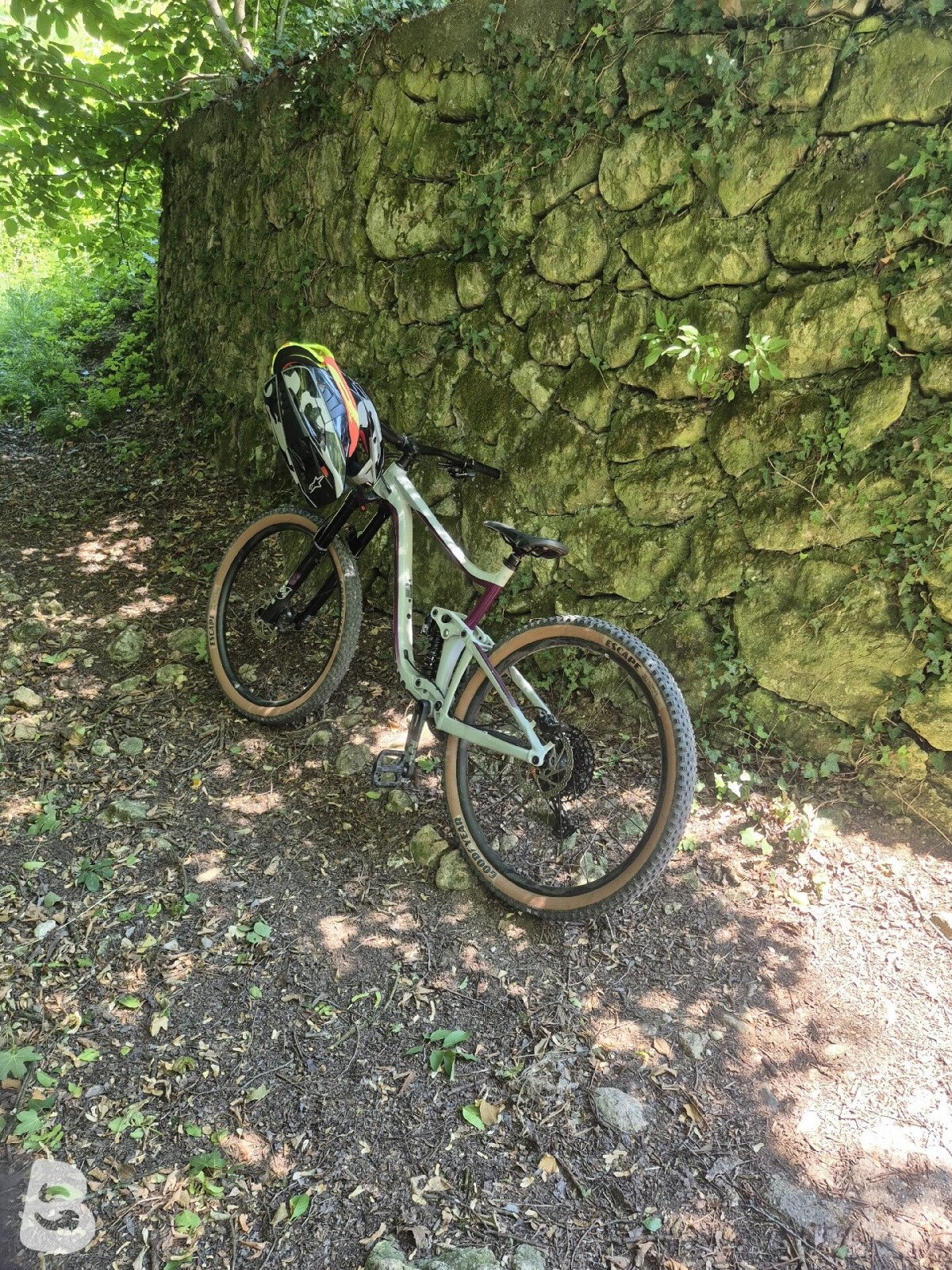 Giant Reign SX 2020