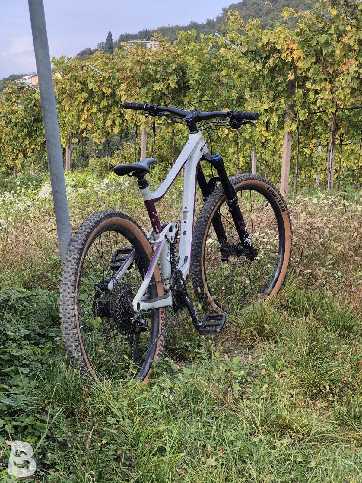 Giant Reign SX 2020