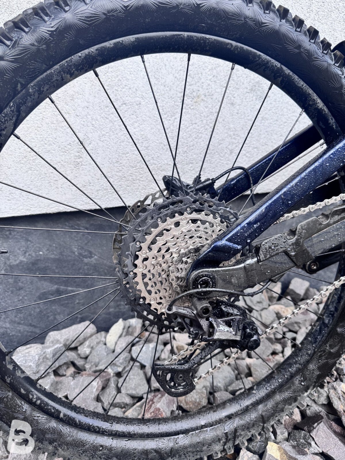 Trek Slash 8 Gen 6 2025