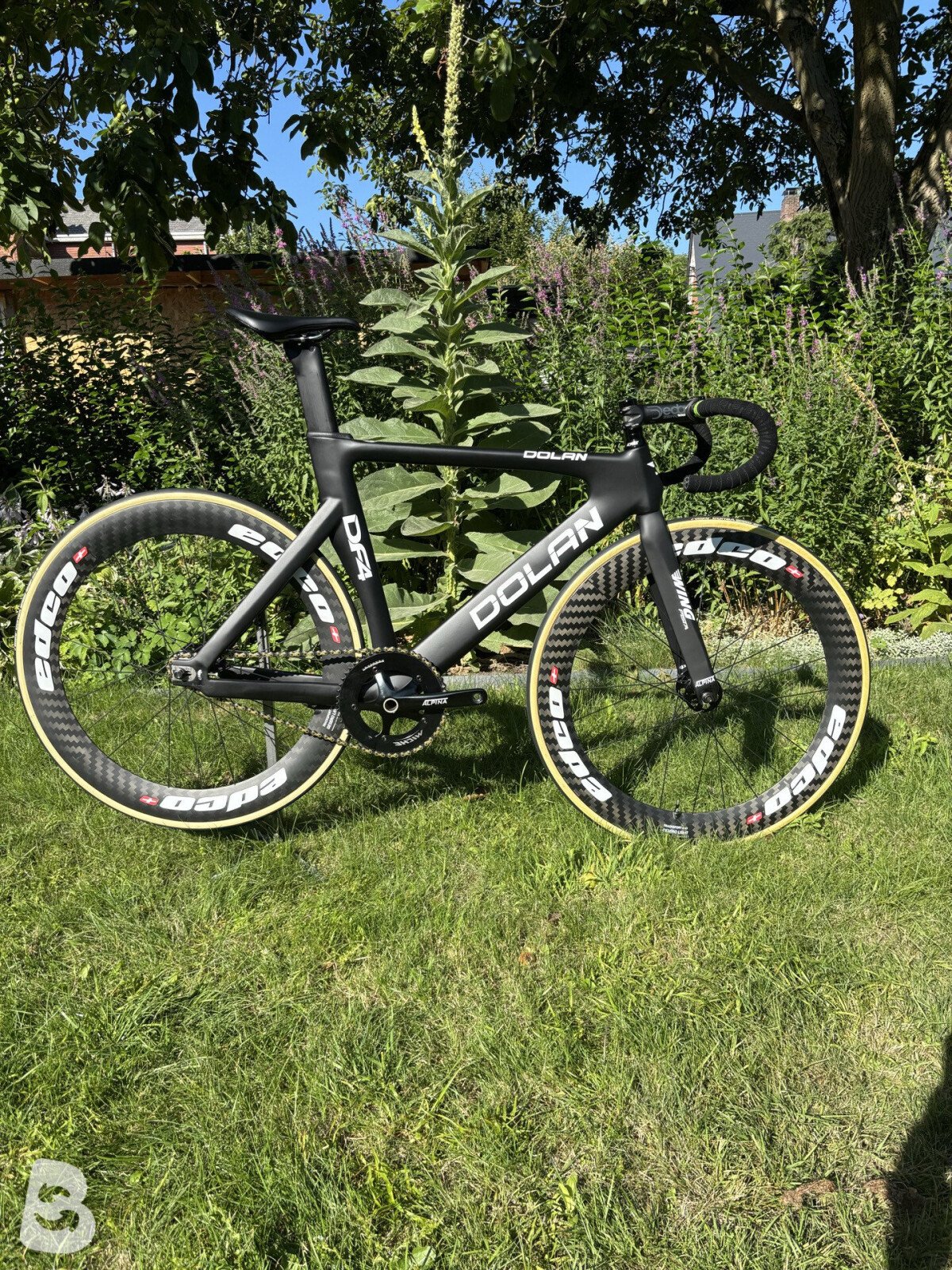 Dolan DF4 Carbon Track Bike - Alpina-SE 2022