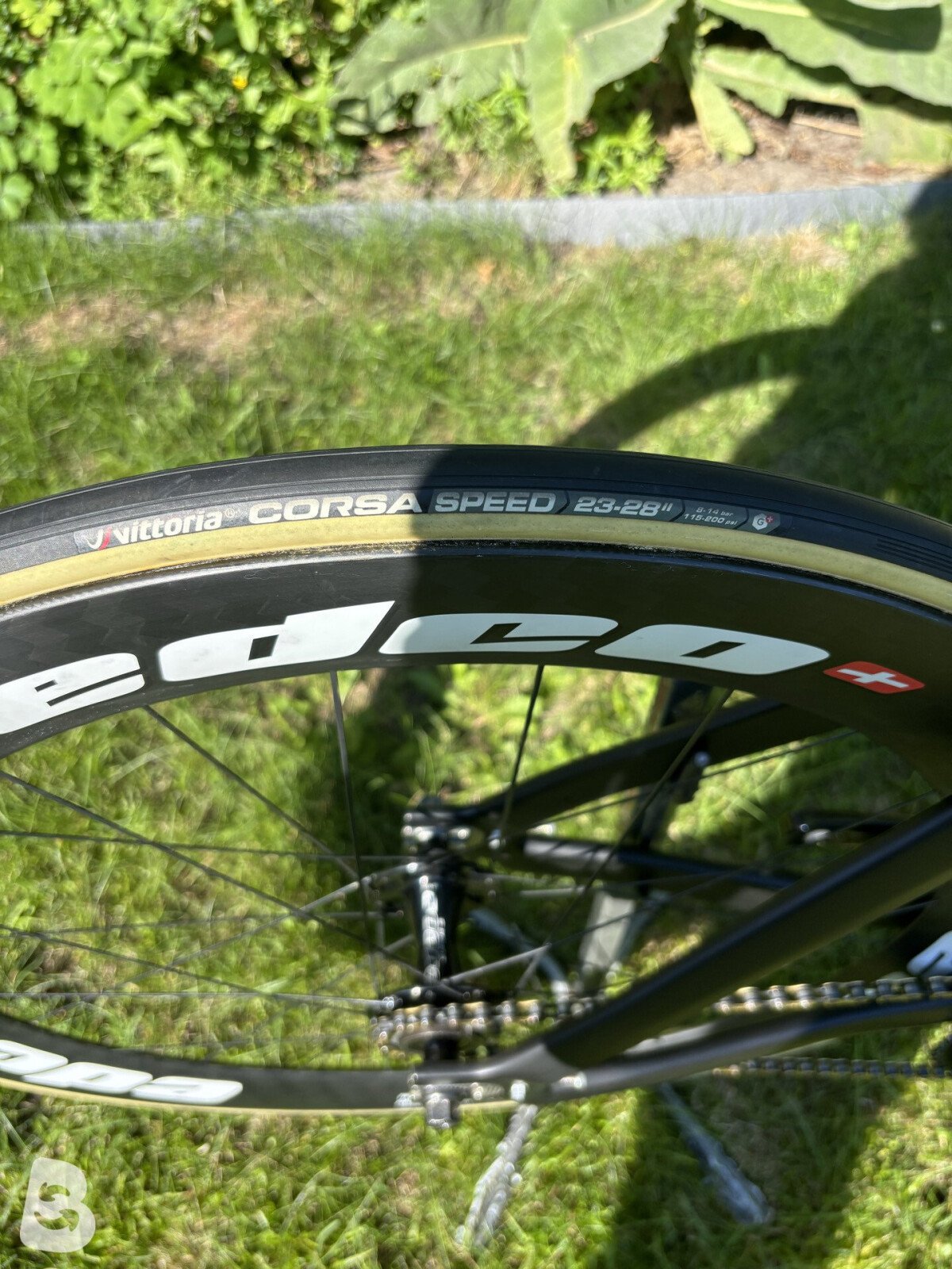 Dolan DF4 Carbon Track Bike - Alpina-SE 2022