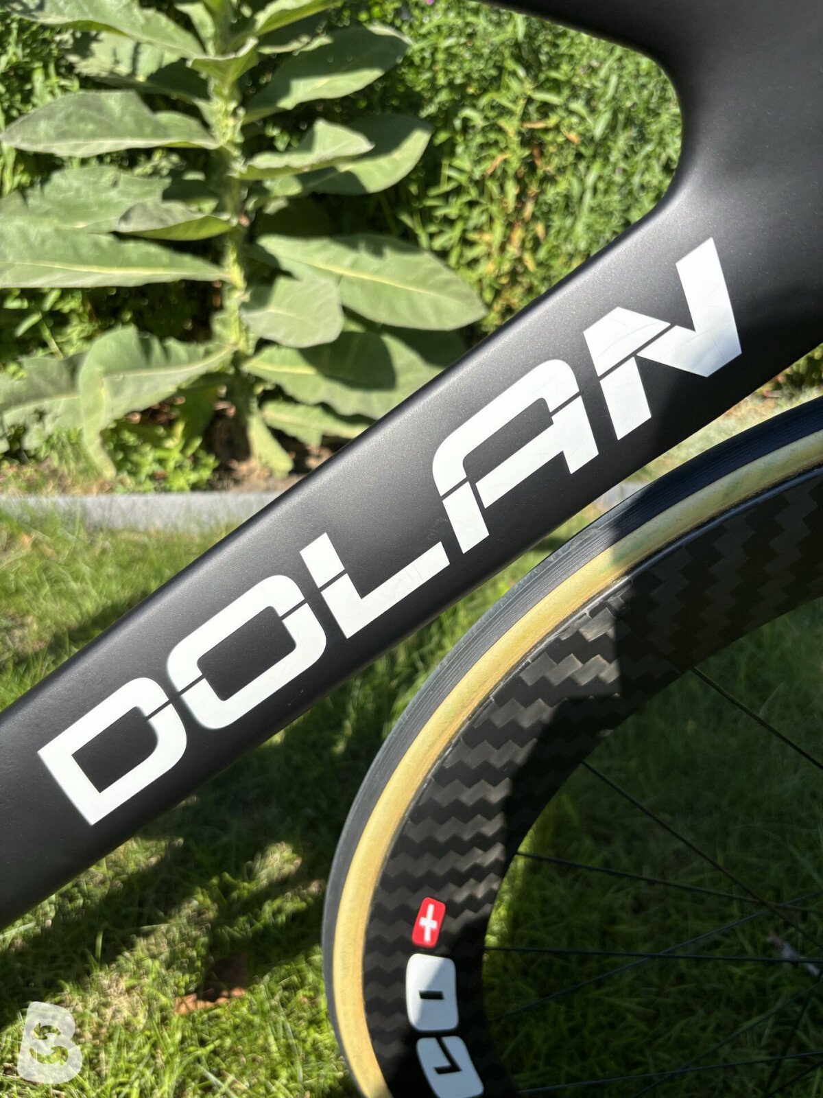 Dolan DF4 Carbon Track Bike - Alpina-SE 2022