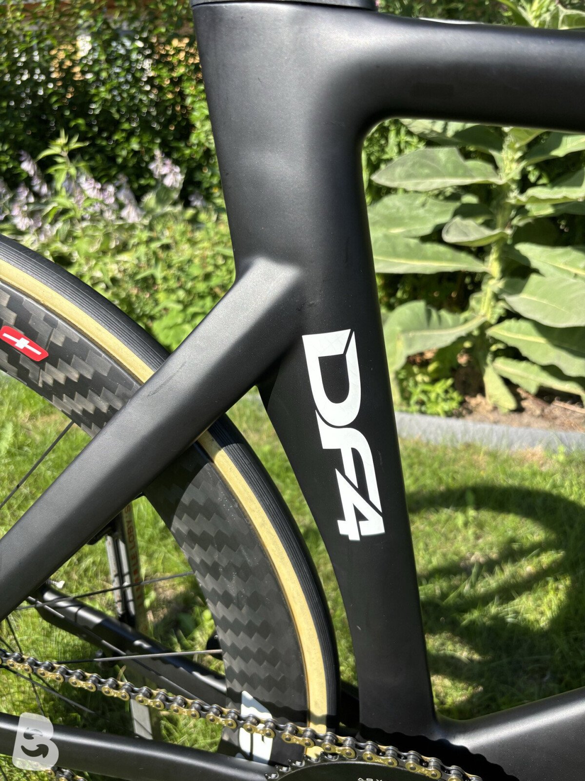 Dolan DF4 Carbon Track Bike - Alpina-SE 2022