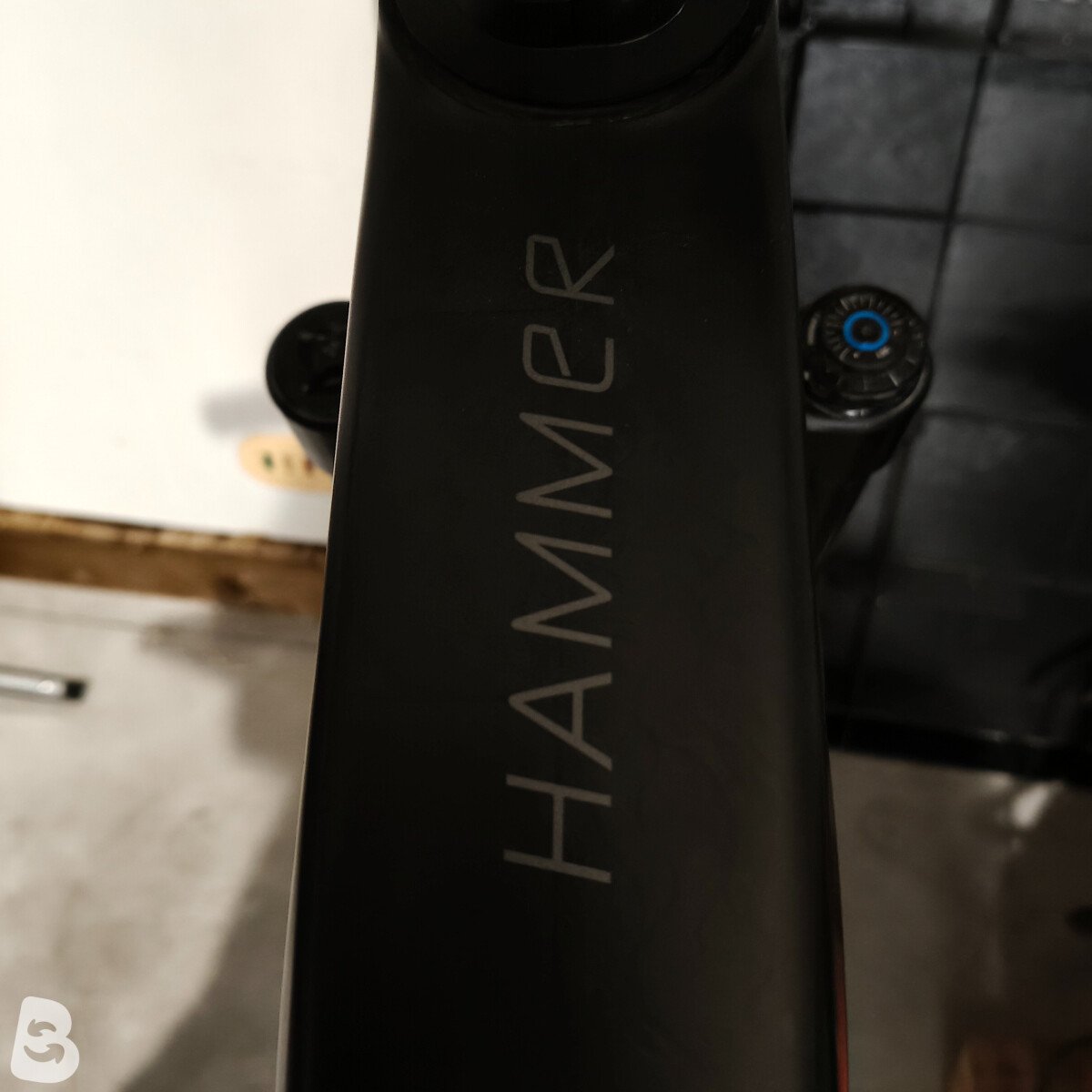 Olympia Hammer 2024