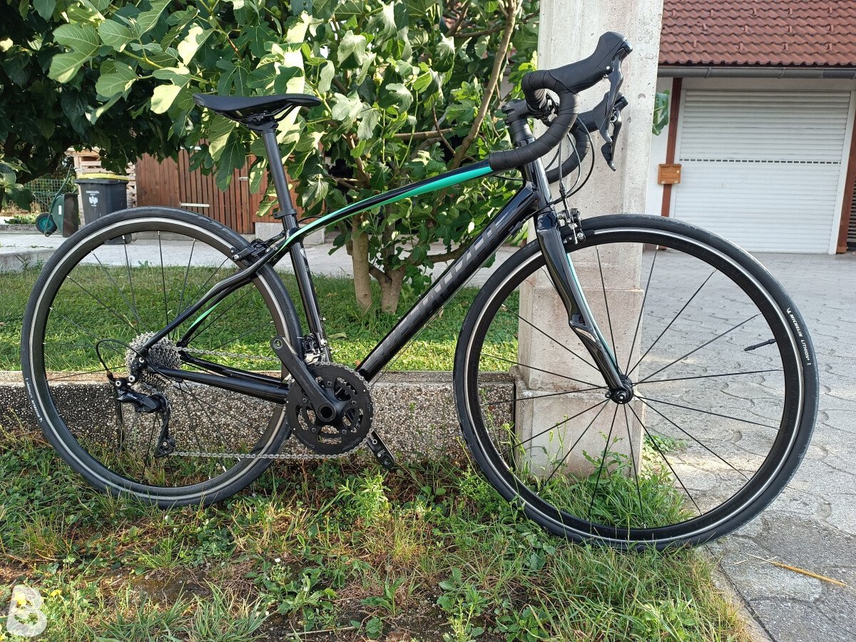 Specialized Dolce Sport 2022