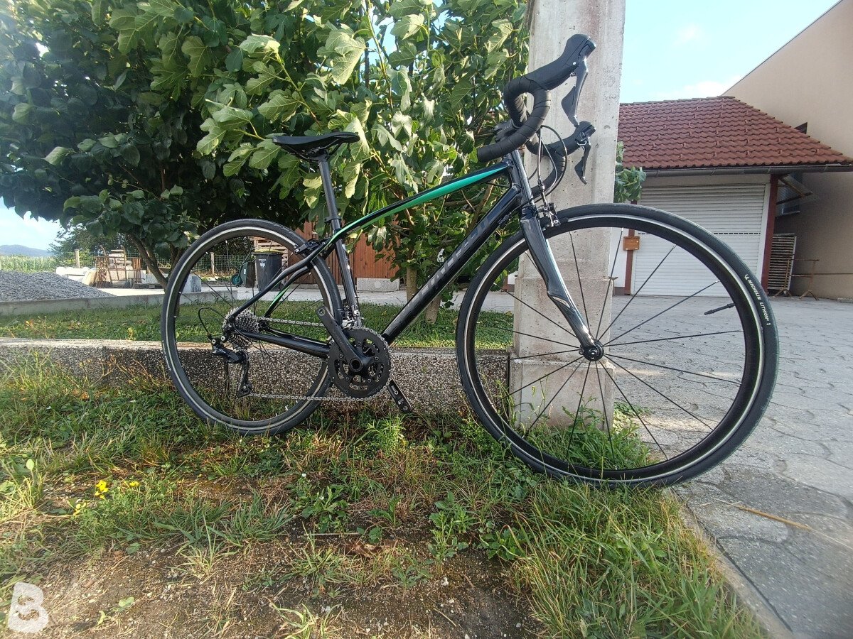 Specialized Dolce Sport 2022