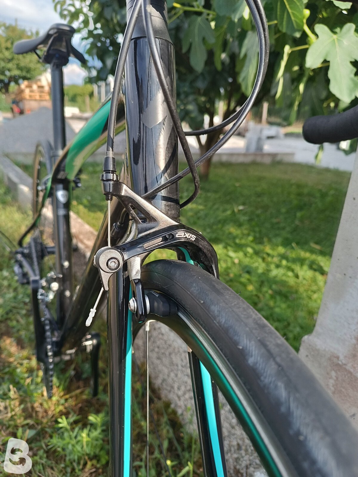 Specialized Dolce Sport 2022