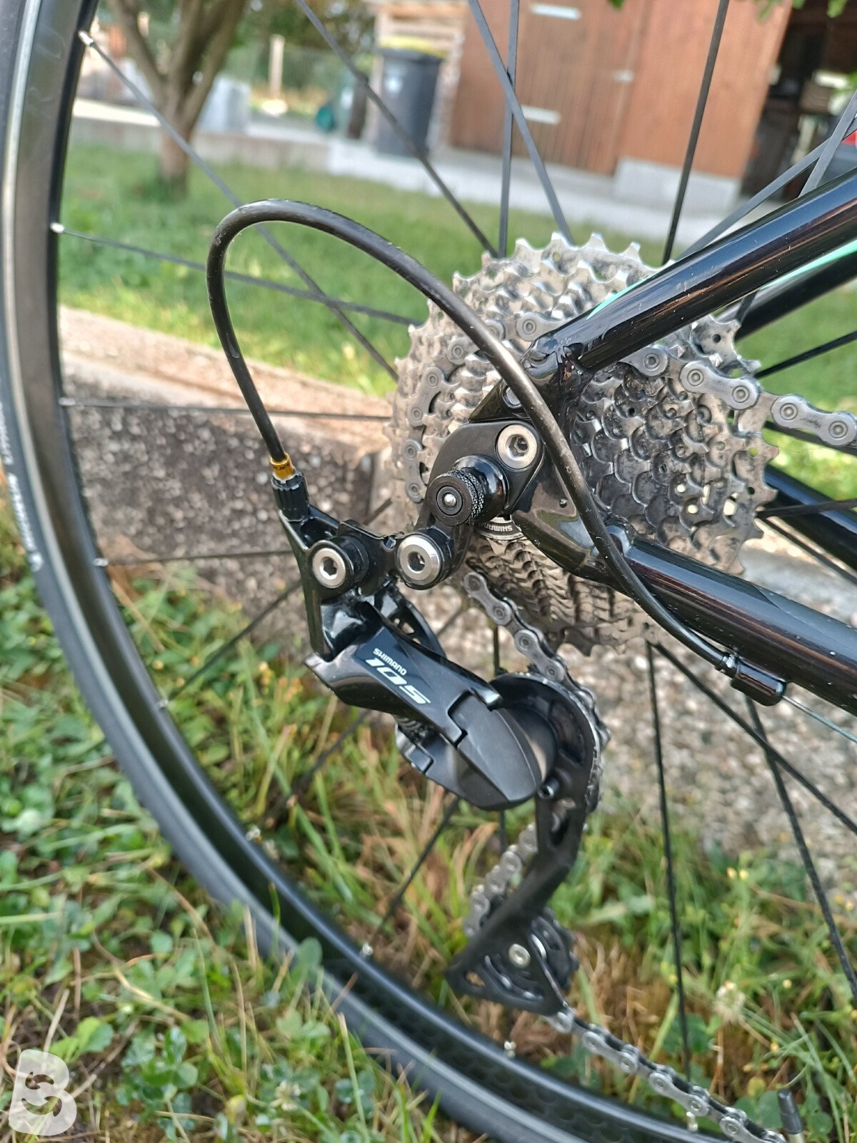 Specialized Dolce Sport 2022