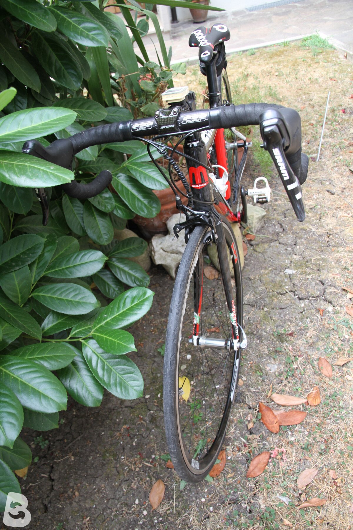 Moser Moser 111 2016