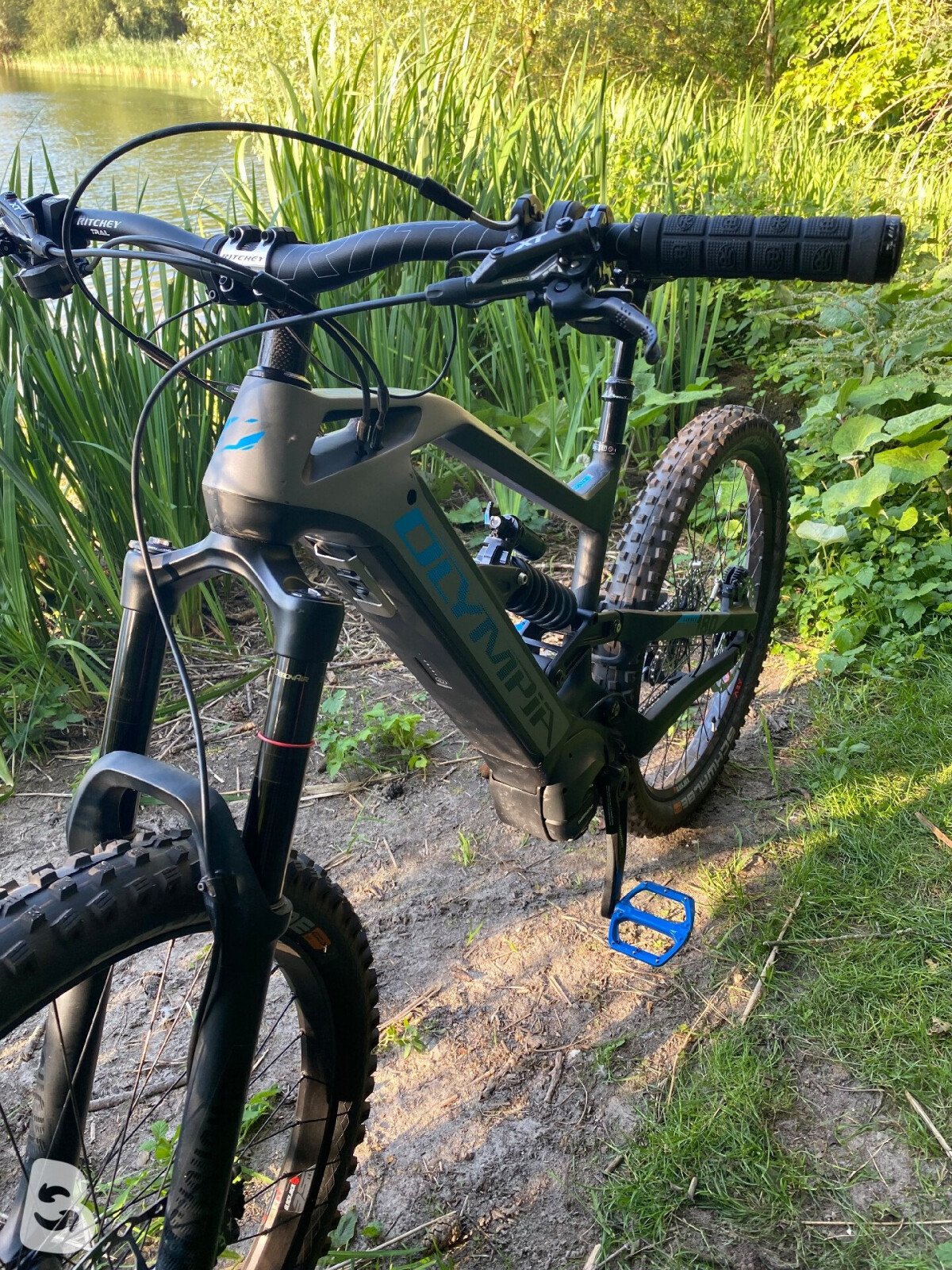 Olympia Hammer Prime 2021