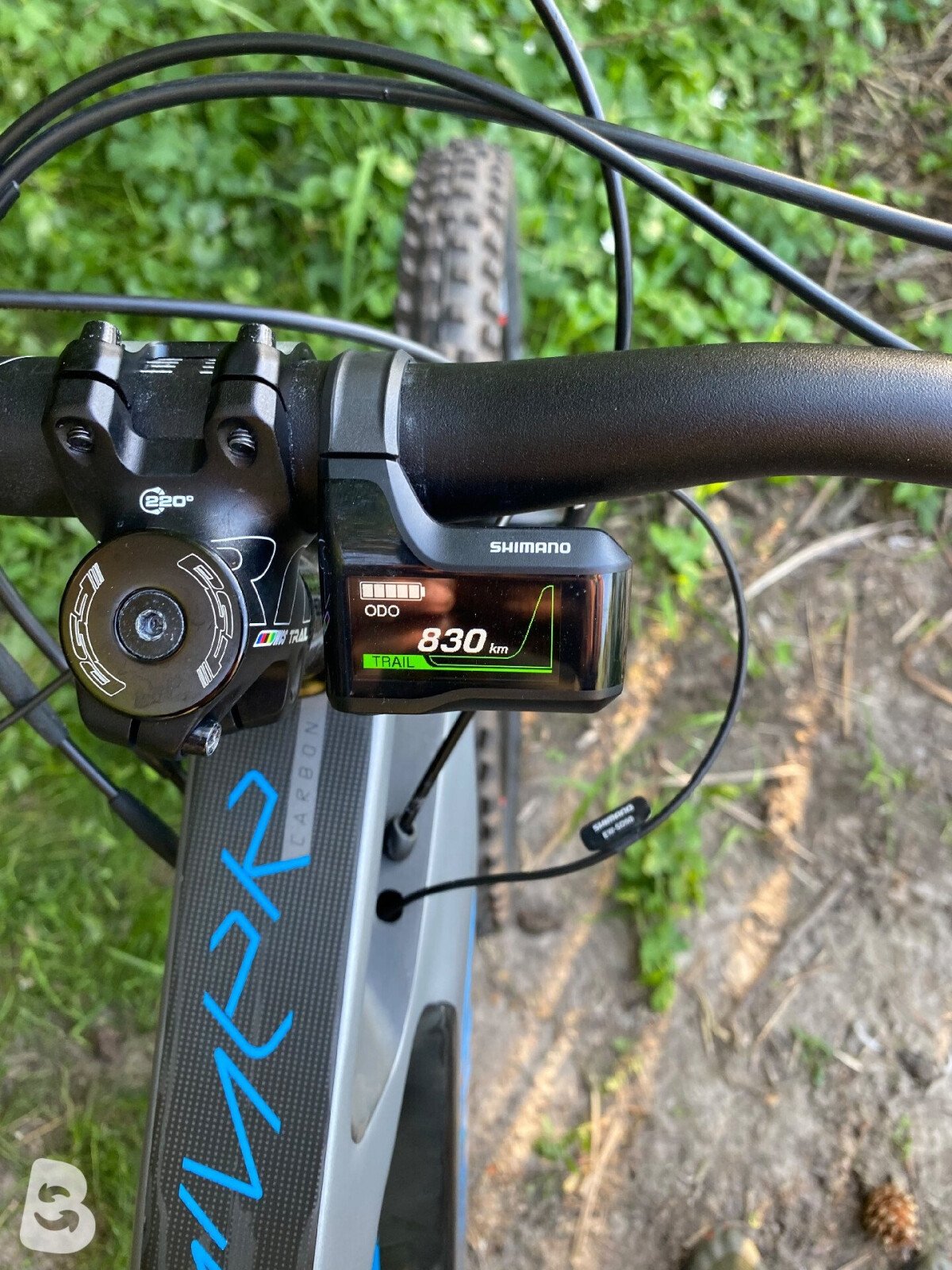 Olympia Hammer Prime 2021