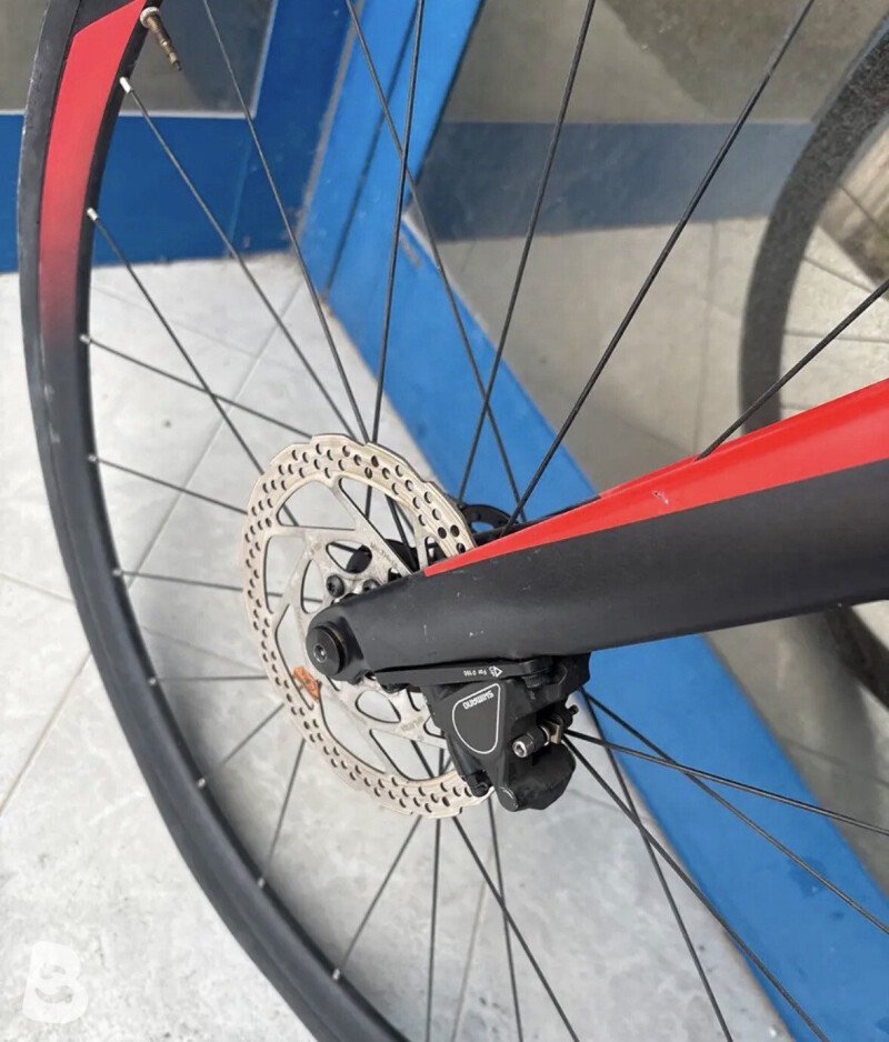 Vektor e-raw 2020