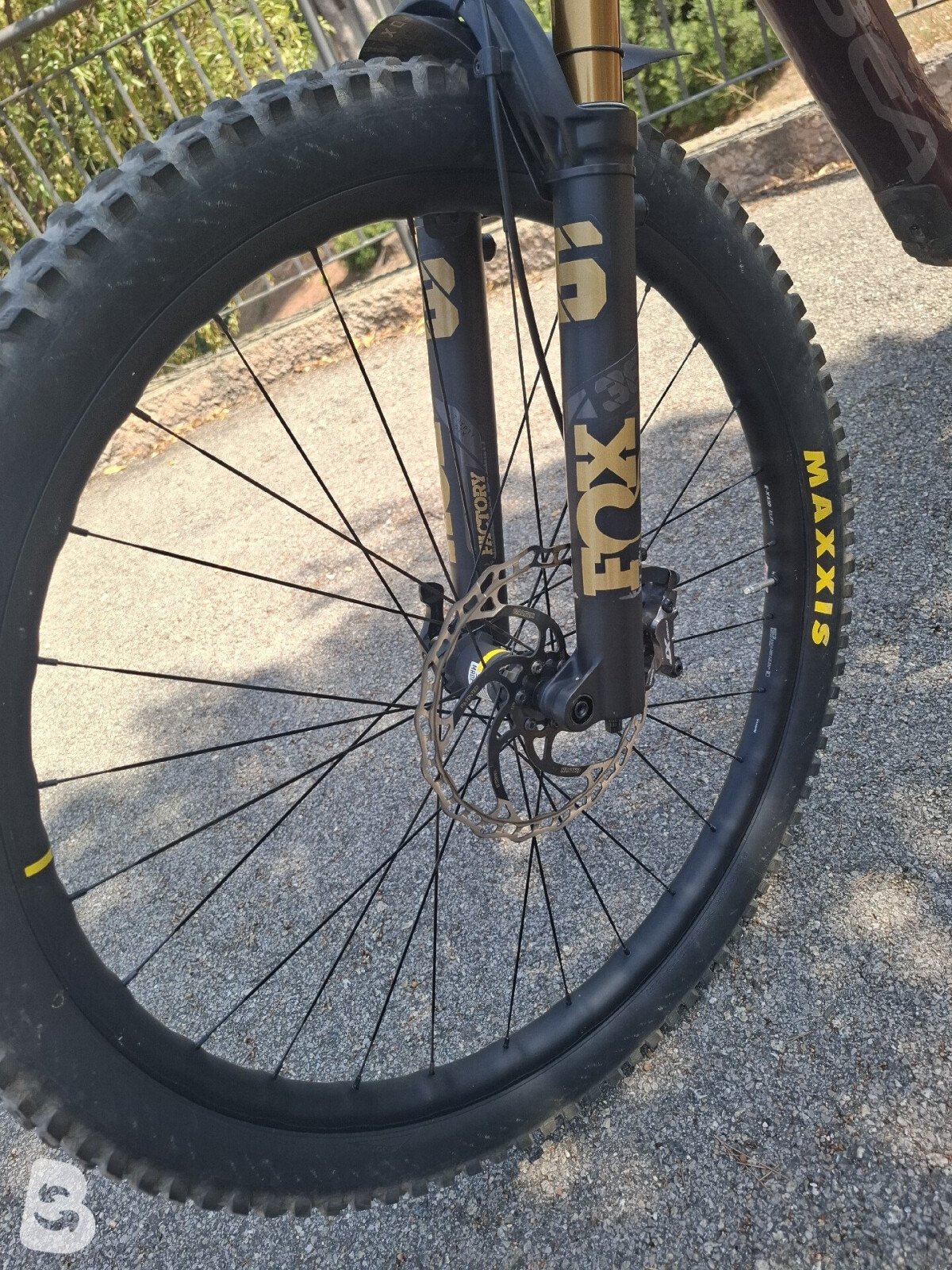 Orbea RALLON M10 2023