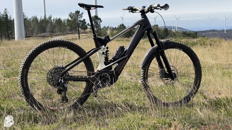 Orbea Wild M Custom 2025
