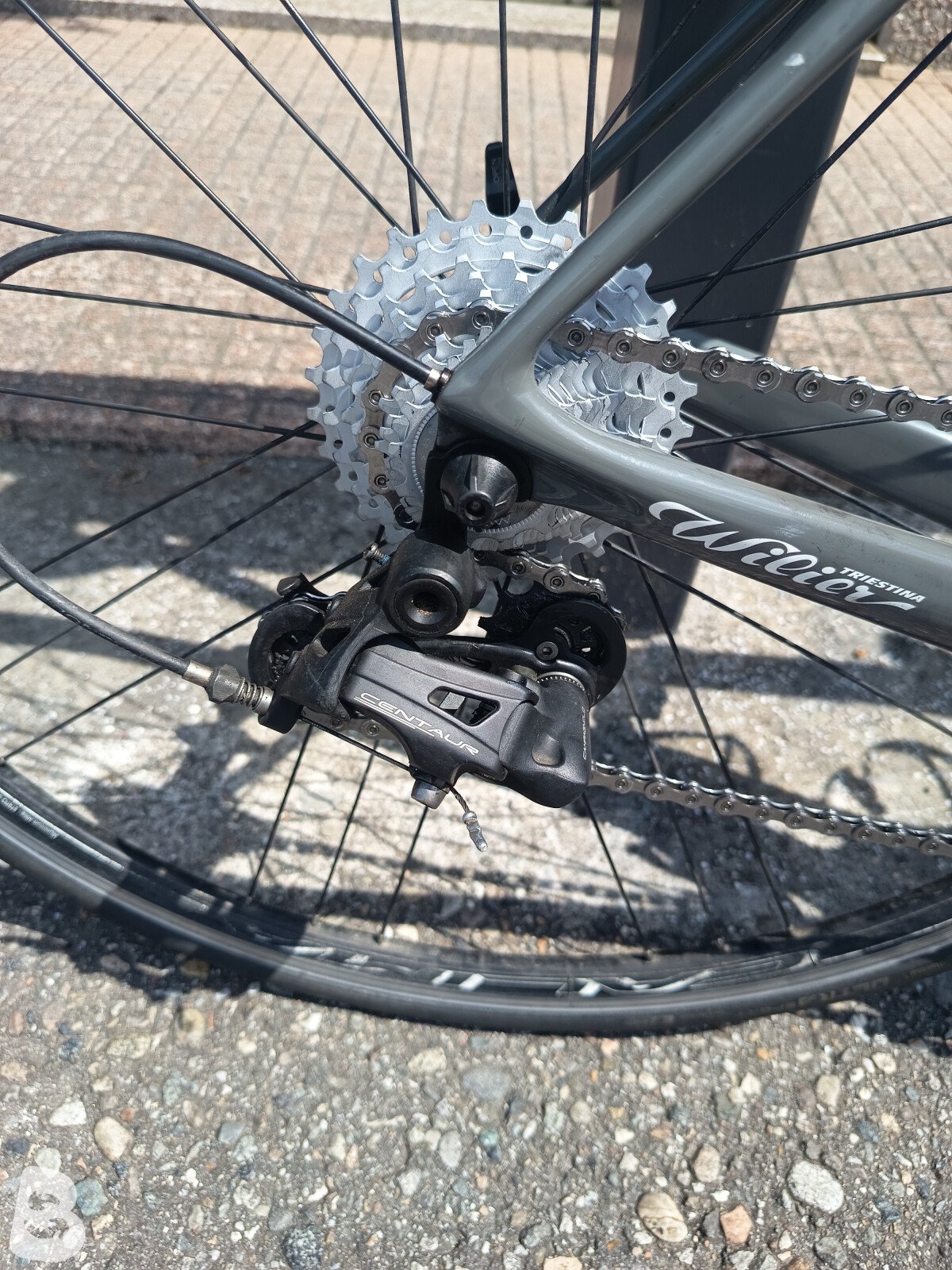Wilier GTR Team CAMPAGNOLO CENTAUR 2X11 2021