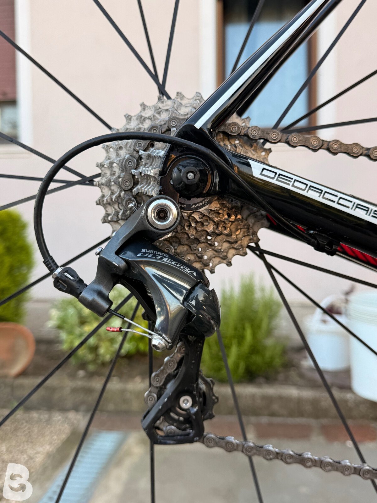 Dedacciai Gladiatore 2014