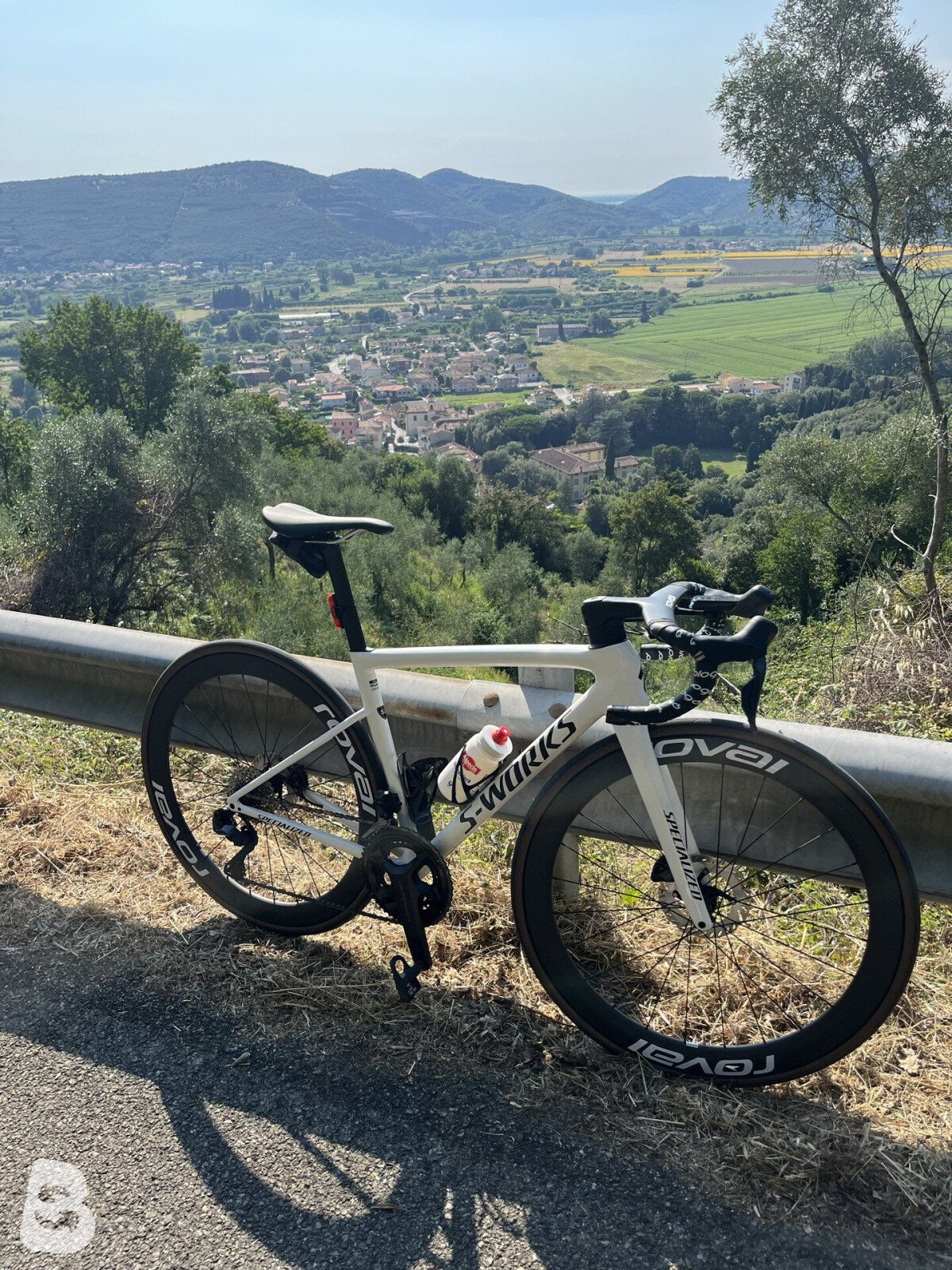 Specialized Tarmac SL8 (REPLICA) 2024