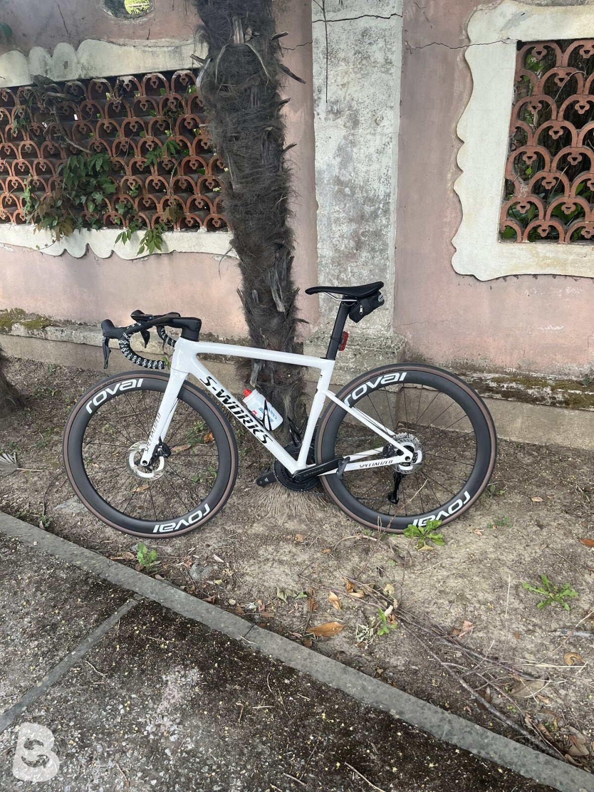 Specialized Tarmac SL8 (REPLICA) 2024