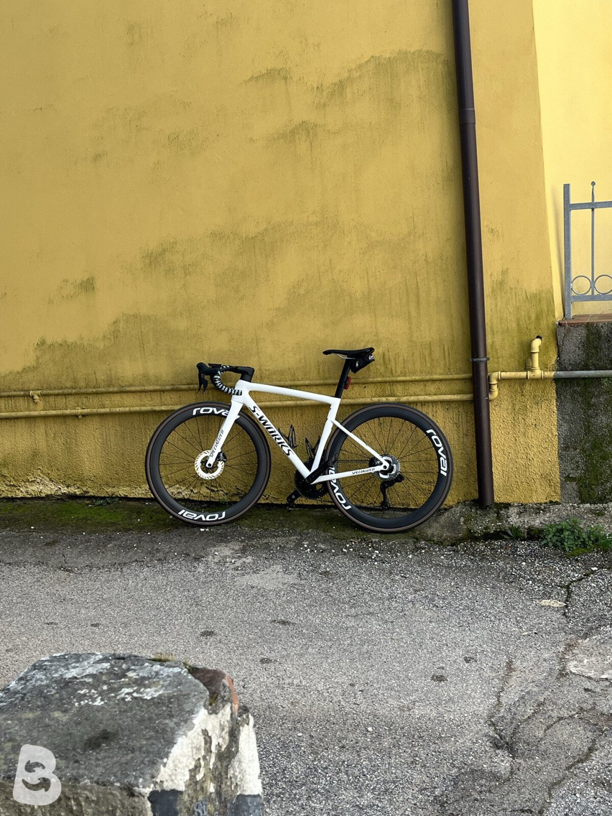 Specialized Tarmac SL8 (REPLICA) 2024