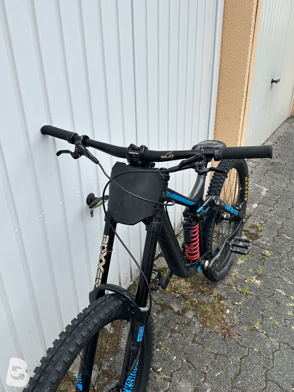 Giant Glory 2019