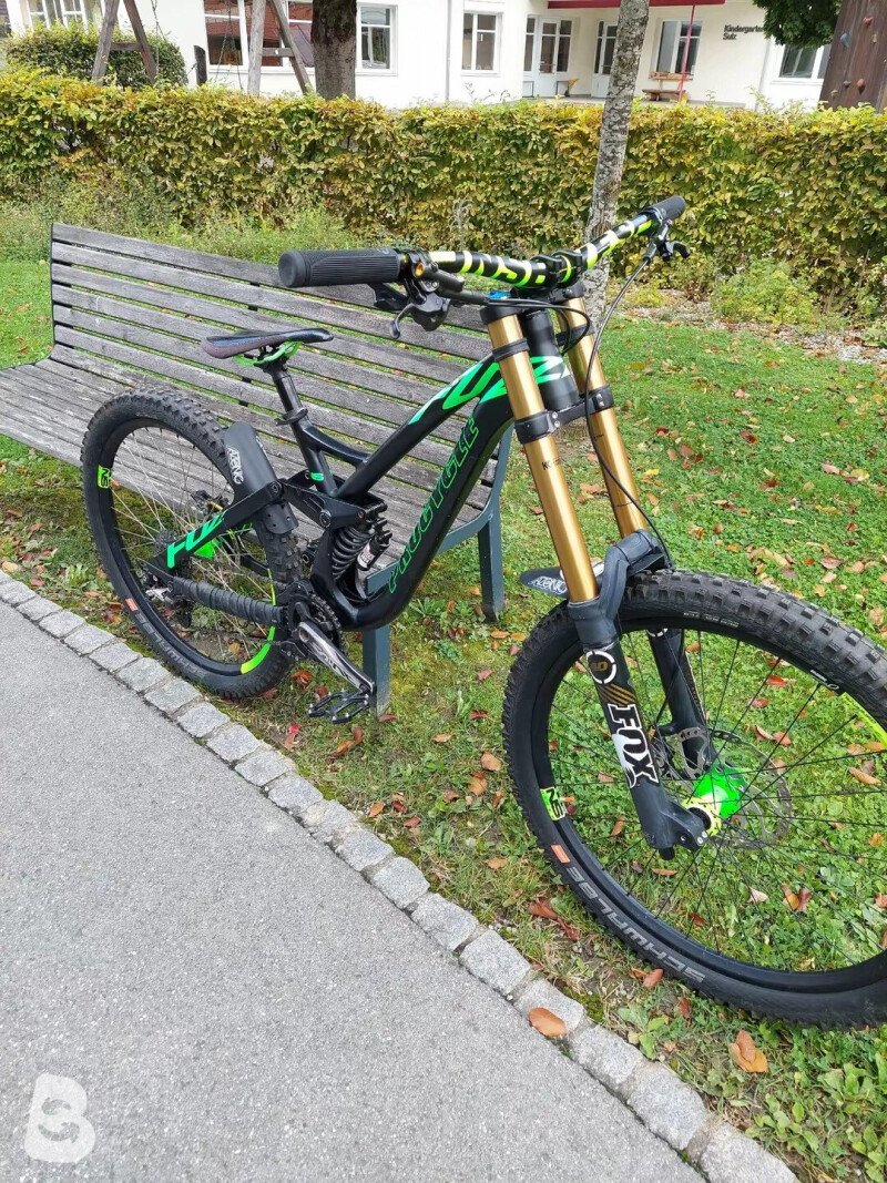 Procycle Fuzz 2017