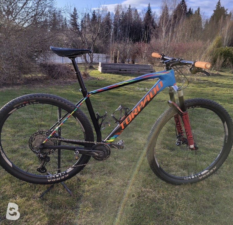 Torpado ribot x 2024