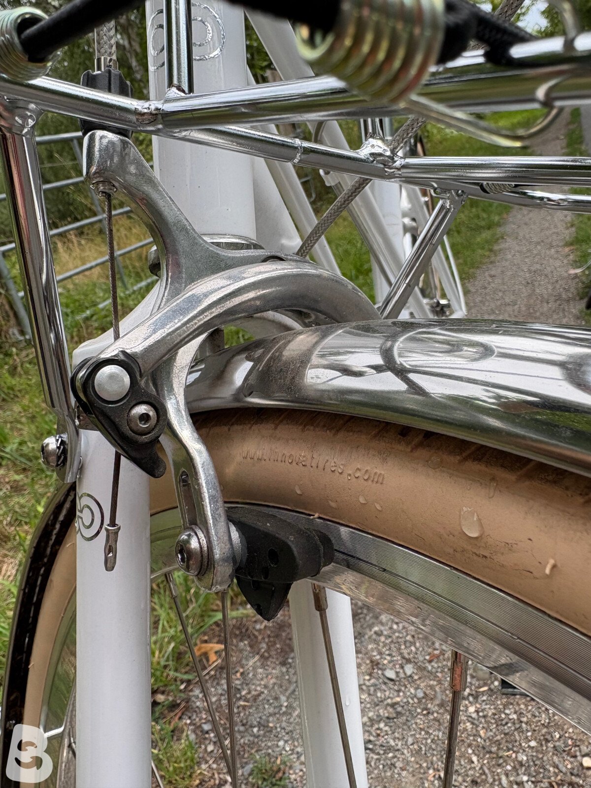 Creme Caferacer Lady Solo 2026