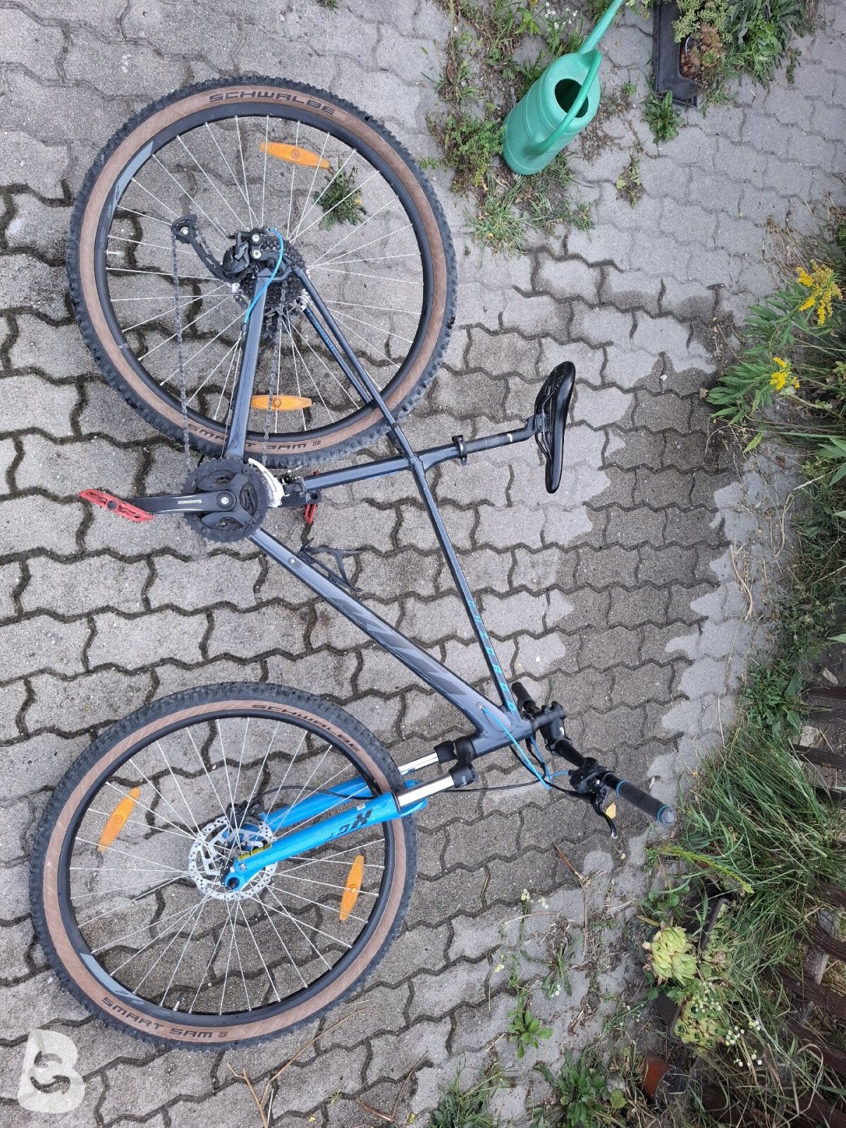 KTM CHICAGO DISC 291 2022