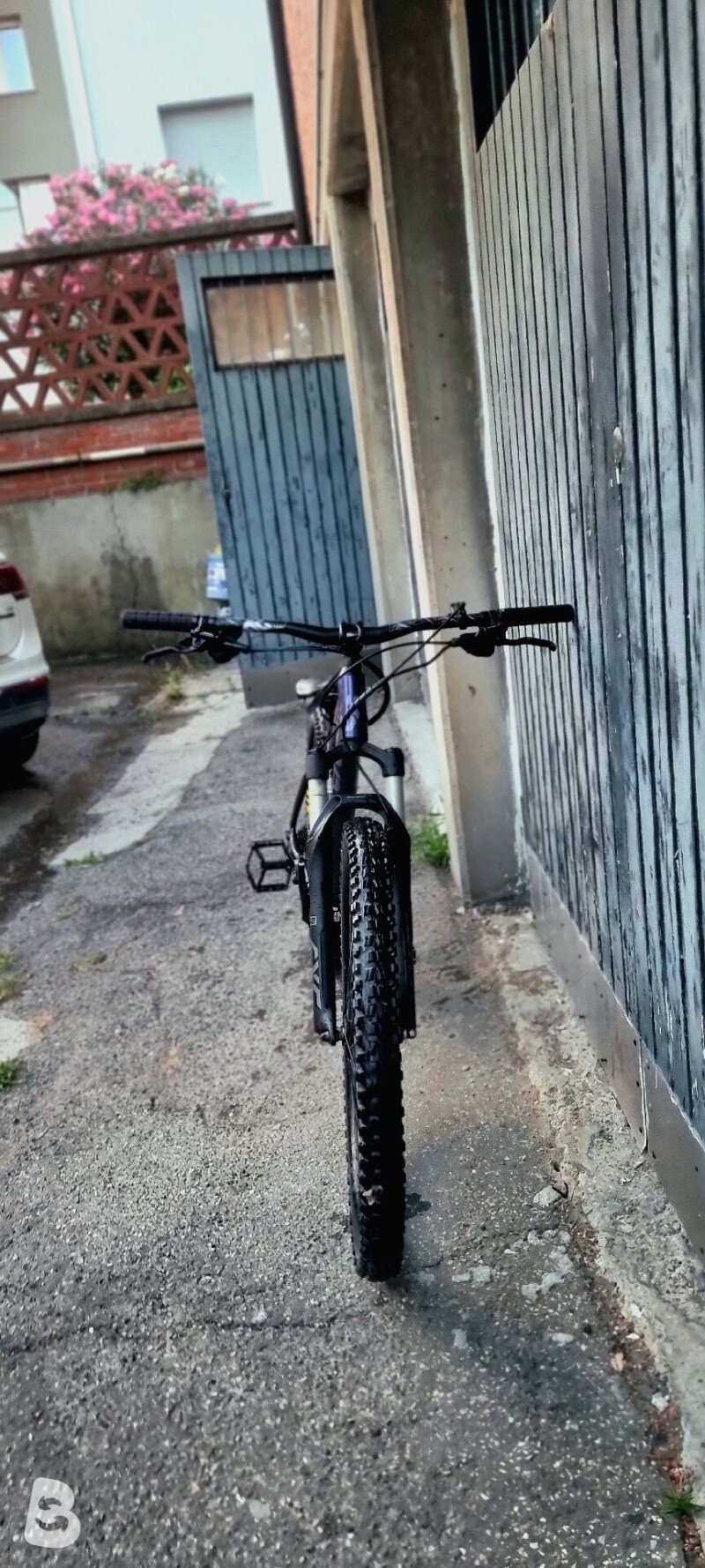Liv Tempt 0 2022