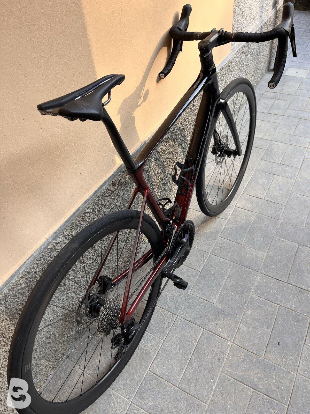 Giant Defy, Advanced 2 2024